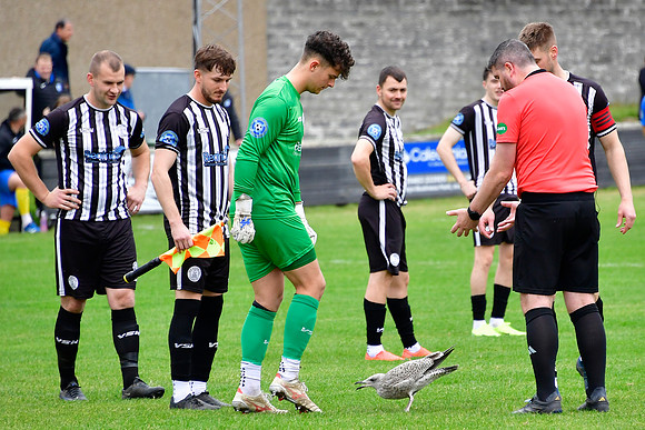 Wick Academy 2 v Strathspey Thistle 1 - SHFL - Harmsworth Park -
