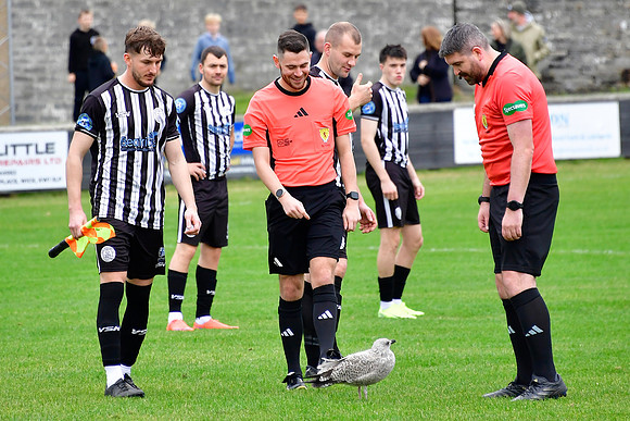 Wick Academy 2 v Strathspey Thistle 1 - SHFL - Harmsworth Park -