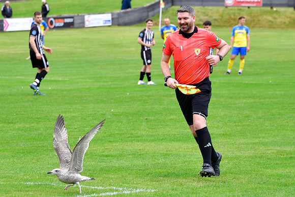 Wick Academy 2 v Strathspey Thistle 1 - SHFL - Harmsworth Park -