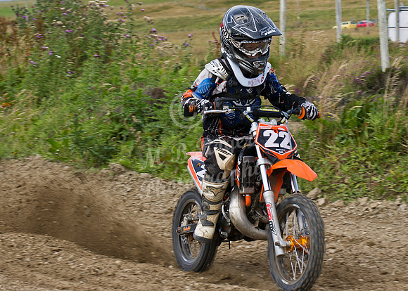 AugMX08