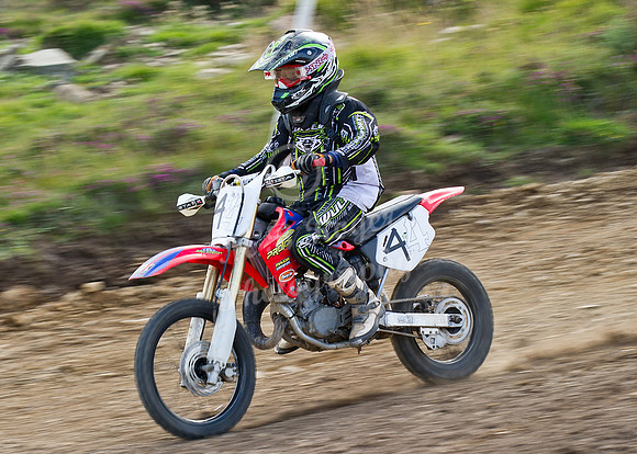 AugMX29