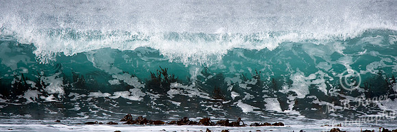 Scottish Surfing Championships 2016 at Thurso East