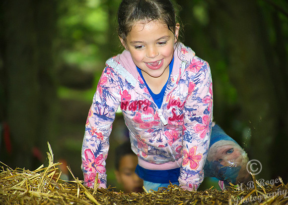 mini tough mudder - wick