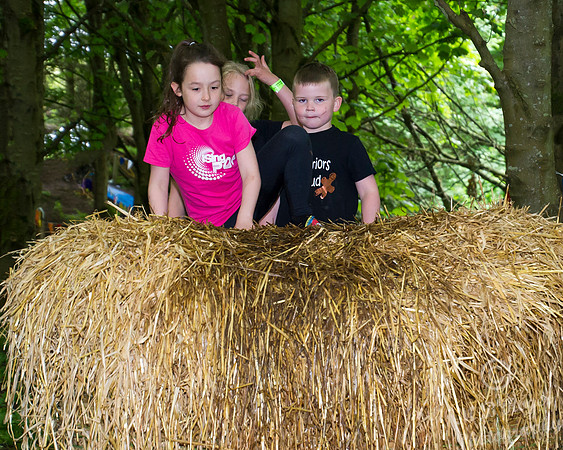 mini tough mudder - wick