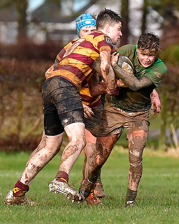 Caithness 15 v Ellon 14 - Tennants Caledonia Region Lg 1 - 12/03