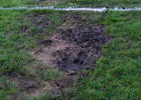 Wick v Brora (Called off) SHFL 04/01/2014