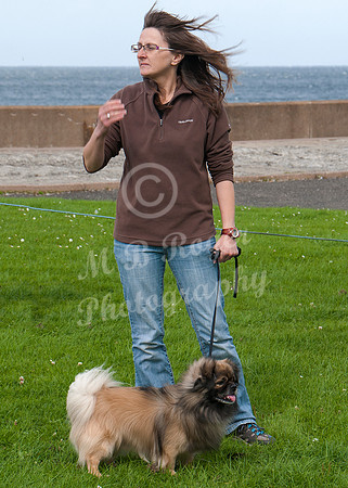 Scrufts 029 p _DSC6546