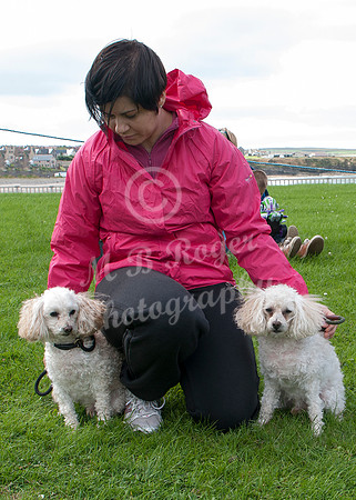 Scrufts 030 p _DSC6548