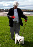 Scrufts 009 p _DSC6627  Elspeth Buchan and Rocky Reid - 1st Best 6 legs