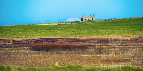 Derserted Caithness Cottage at Brubster Leans