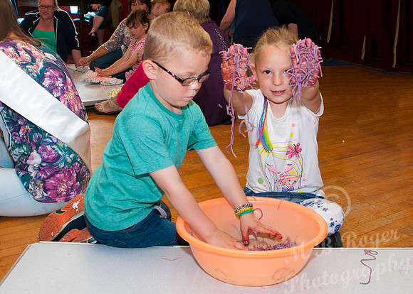 Thurso Gala 2014
