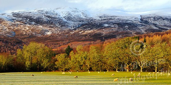 Hills above Struy in Glen Affric